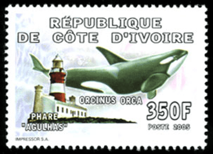 Marine Animals (3870)