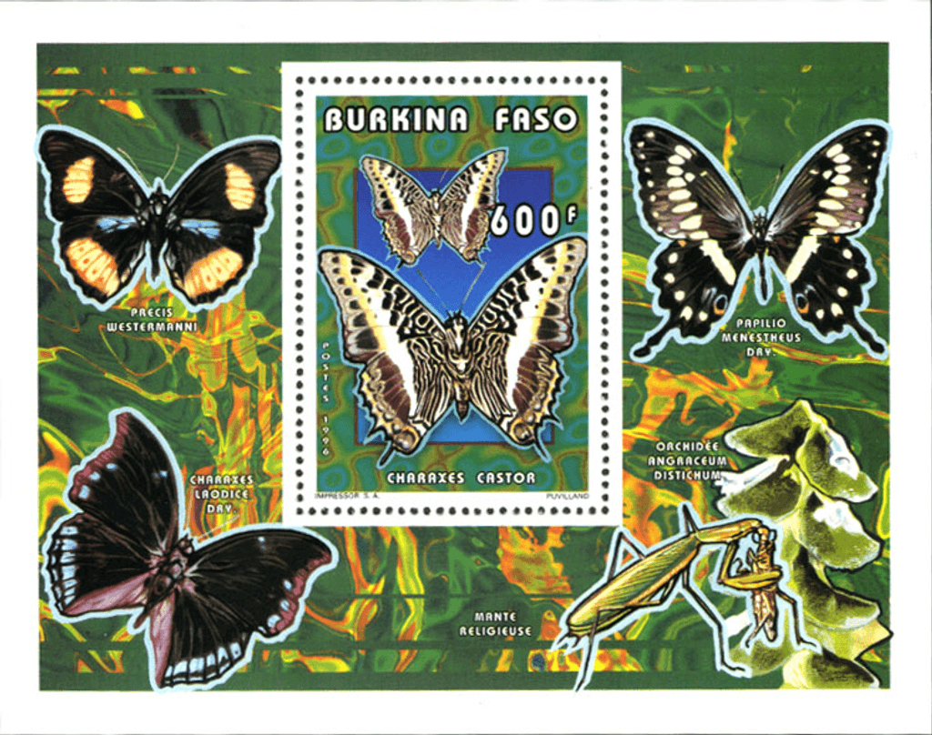 Butterflies (2613)
