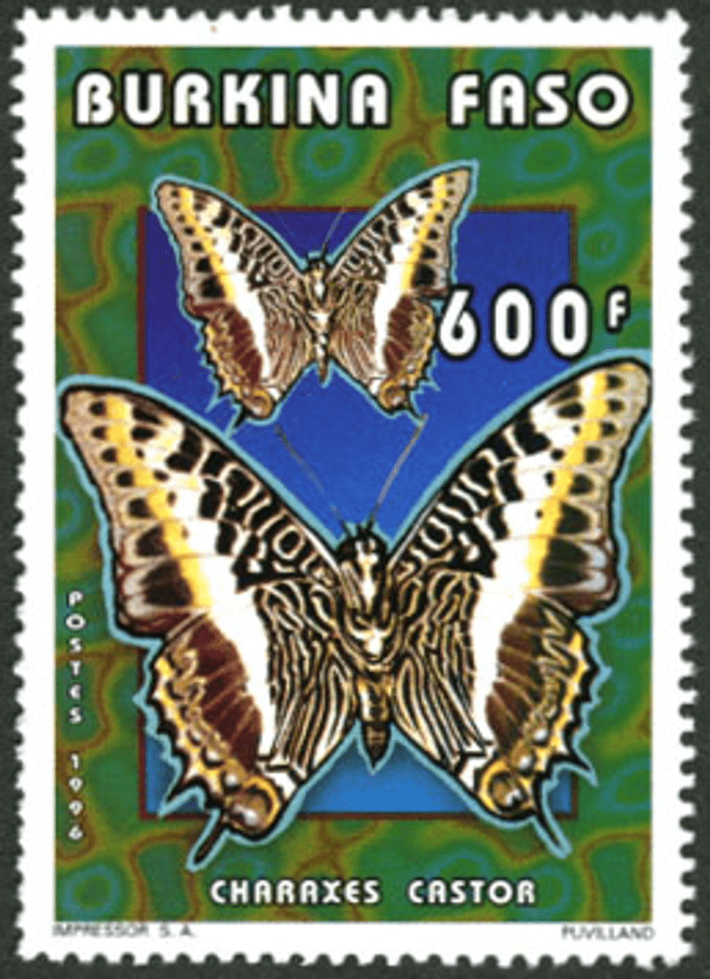 Butterflies (2613)