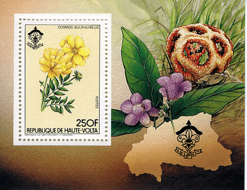 HAUTE VOLTA , Flowers & Mushrooms