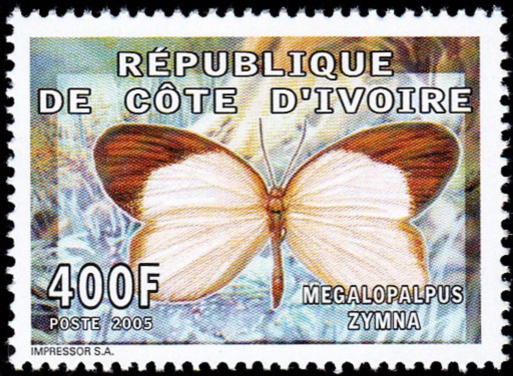 Butterflies  2005