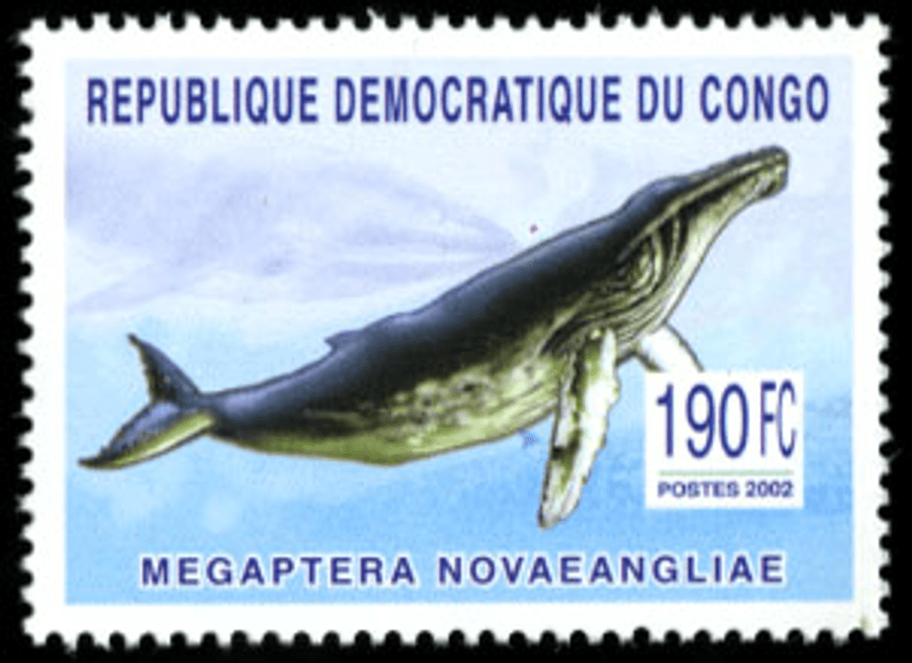 Marine Animals