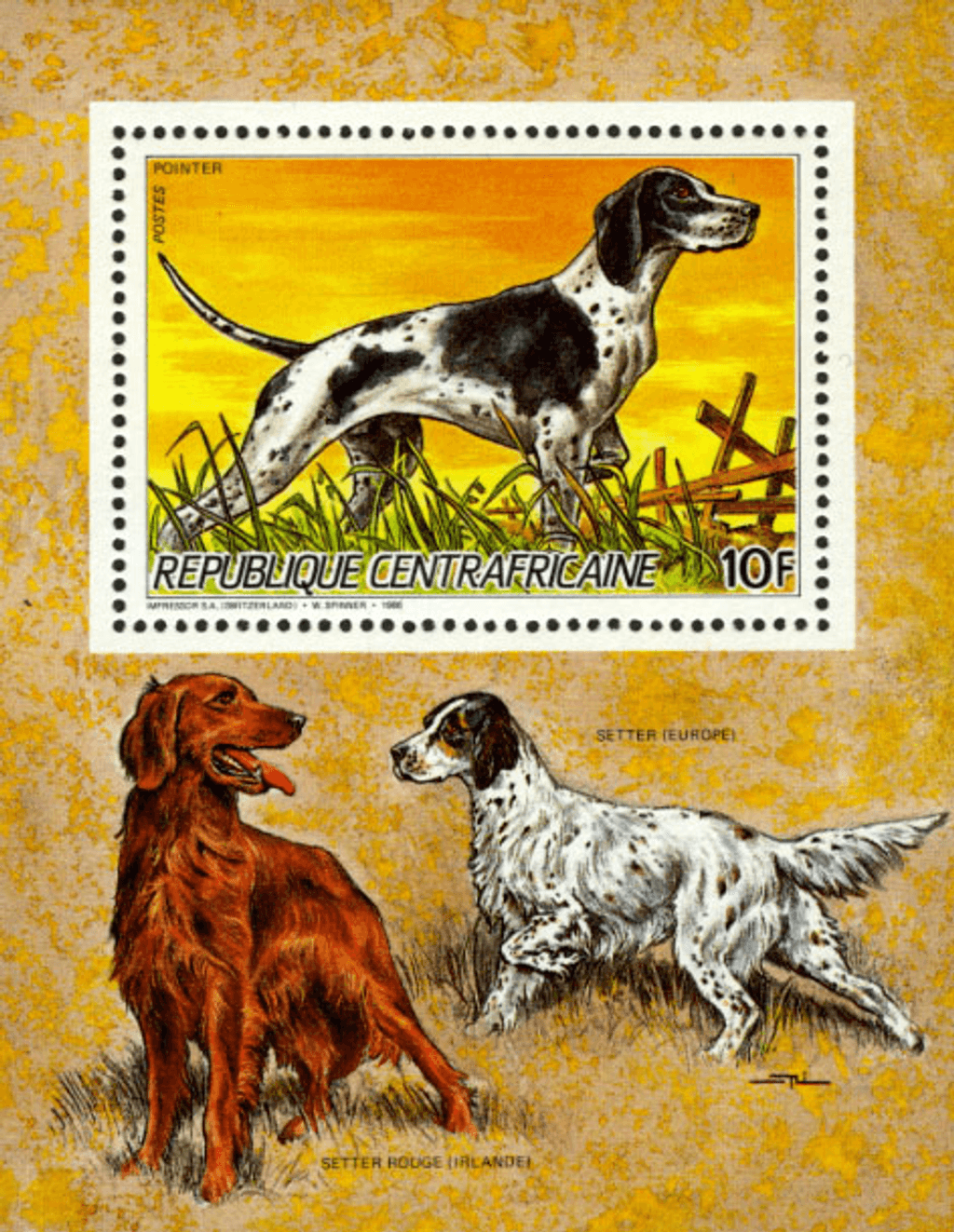 Dogs and Cat Breeds 1986
