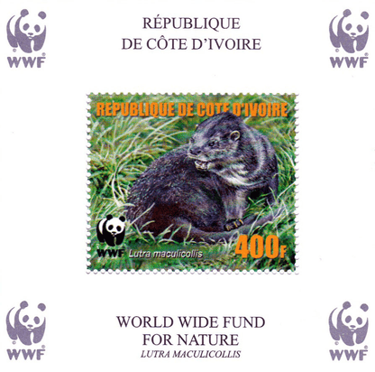 Worldwide Conservation 2005  (Otters)