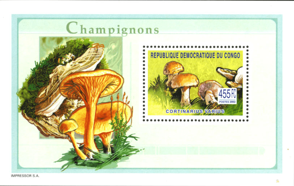 Mushrooms