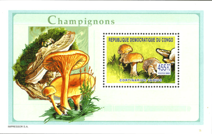 Mushrooms