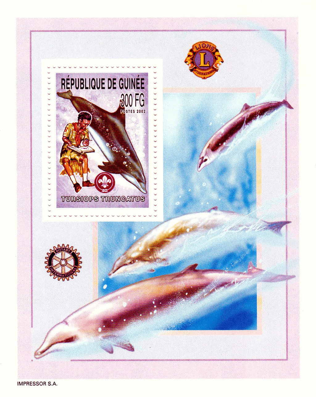 Boy Scouts and Whales