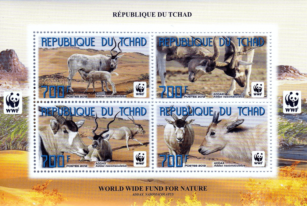 World Wild Nature Antelope 2012