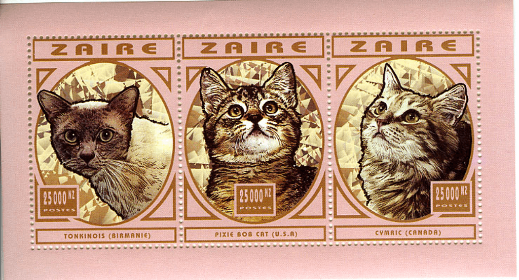 Cat breeds (2573)