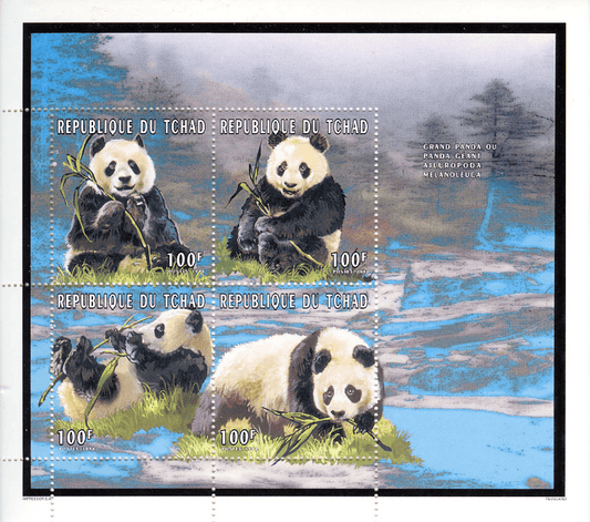 Panda Géant