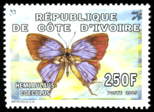 Butterflies (1459)