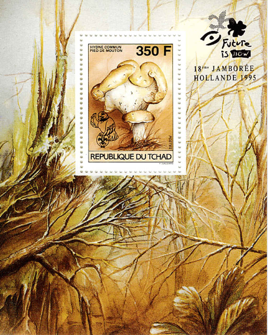 18 th Jamborée Netherland /Mushrooms