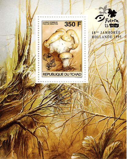 18 th Jamborée Netherland /Mushrooms
