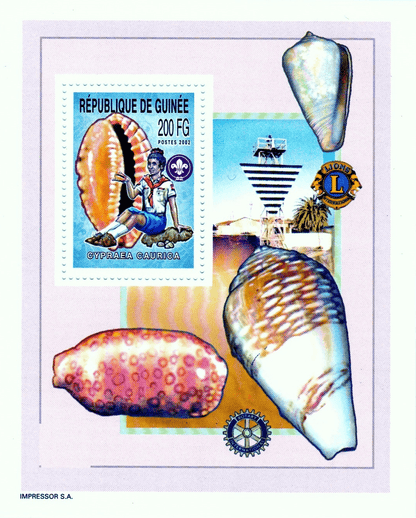 Boy Scout and Sea Snails  2002