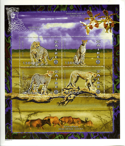Wild animals