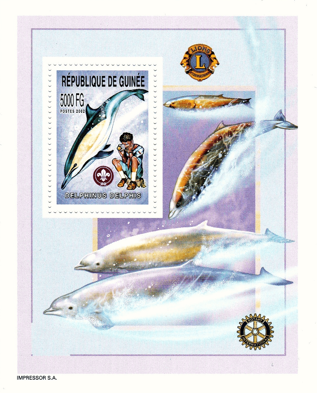 Boy Scouts and Whales