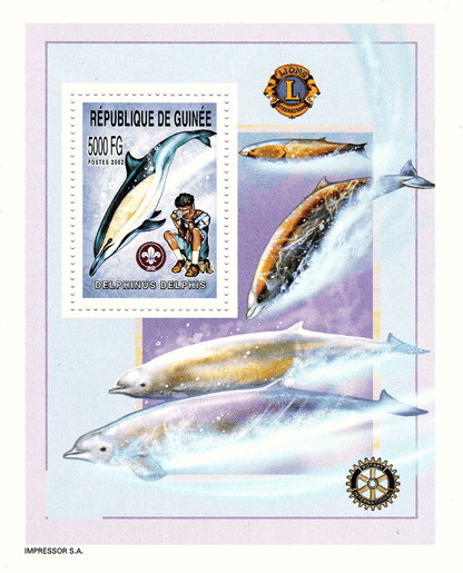 Boy Scouts and Whales
