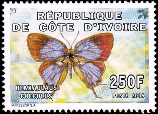 Butterflies  2005