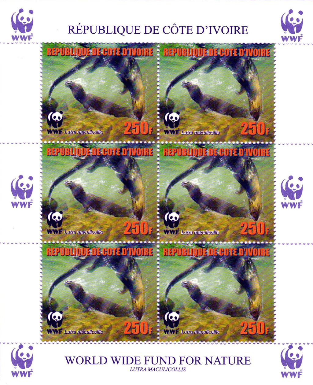 Worldwide Conservation 2005  (Otters)