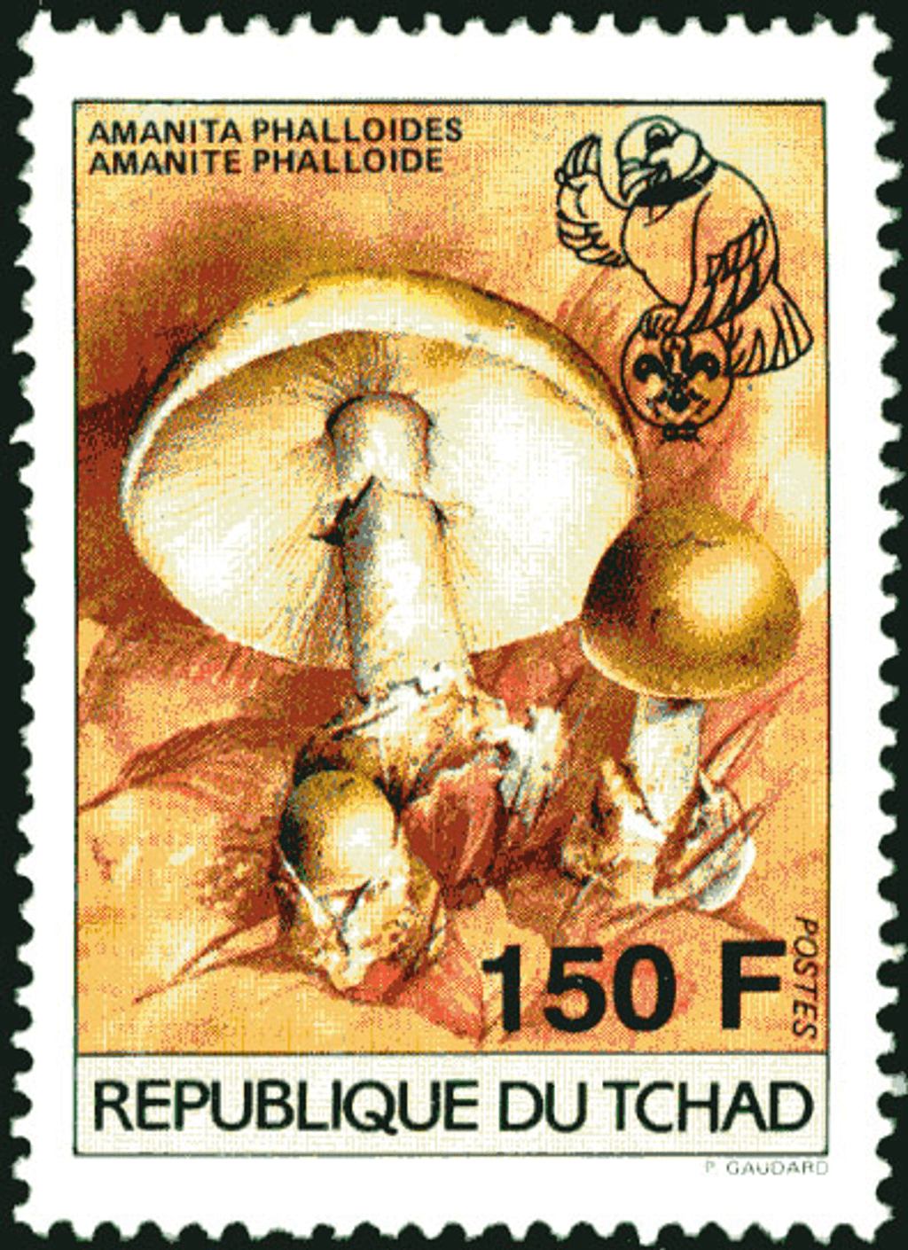 18 th Jamborée Netherland /Mushrooms