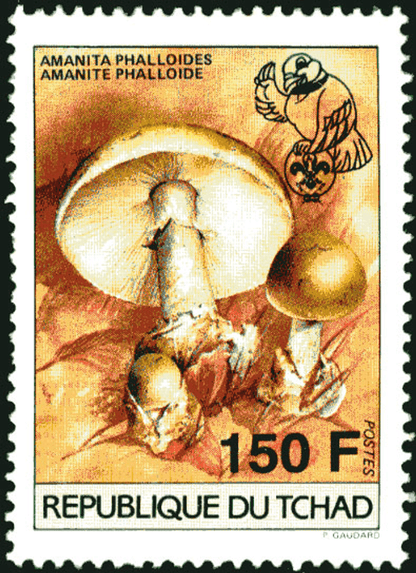 18 th Jamborée Netherland /Mushrooms