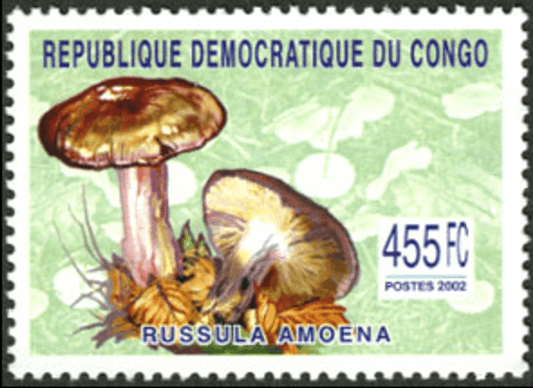 Mushrooms