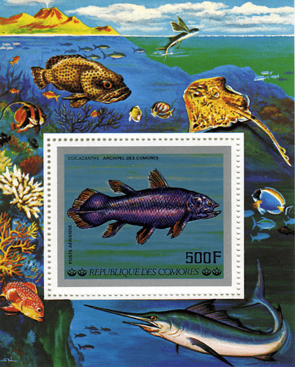 Aquatic Wildlife - Fish