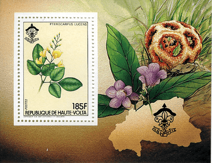 HAUTE VOLTA , Flowers & Mushrooms