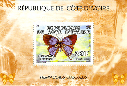 Butterflies (1459)