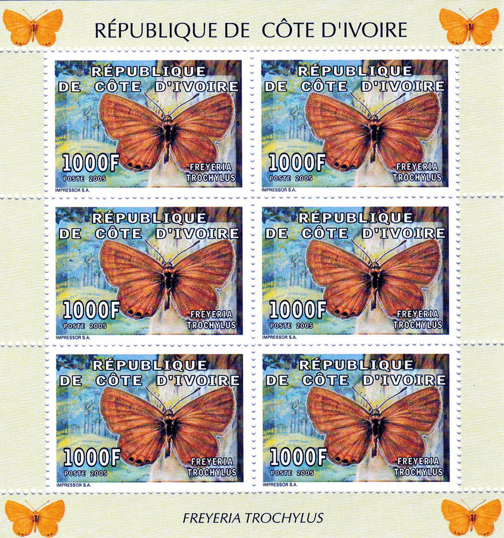 Butterflies  2005