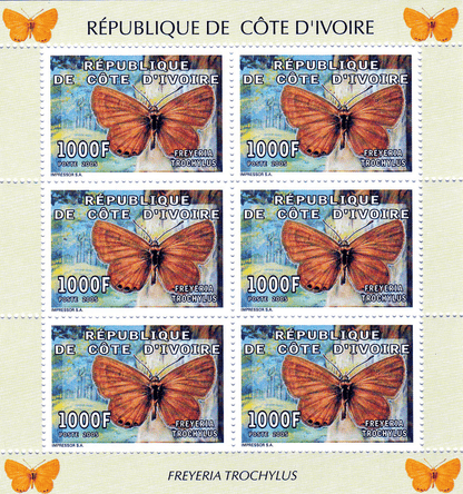 Butterflies  2005