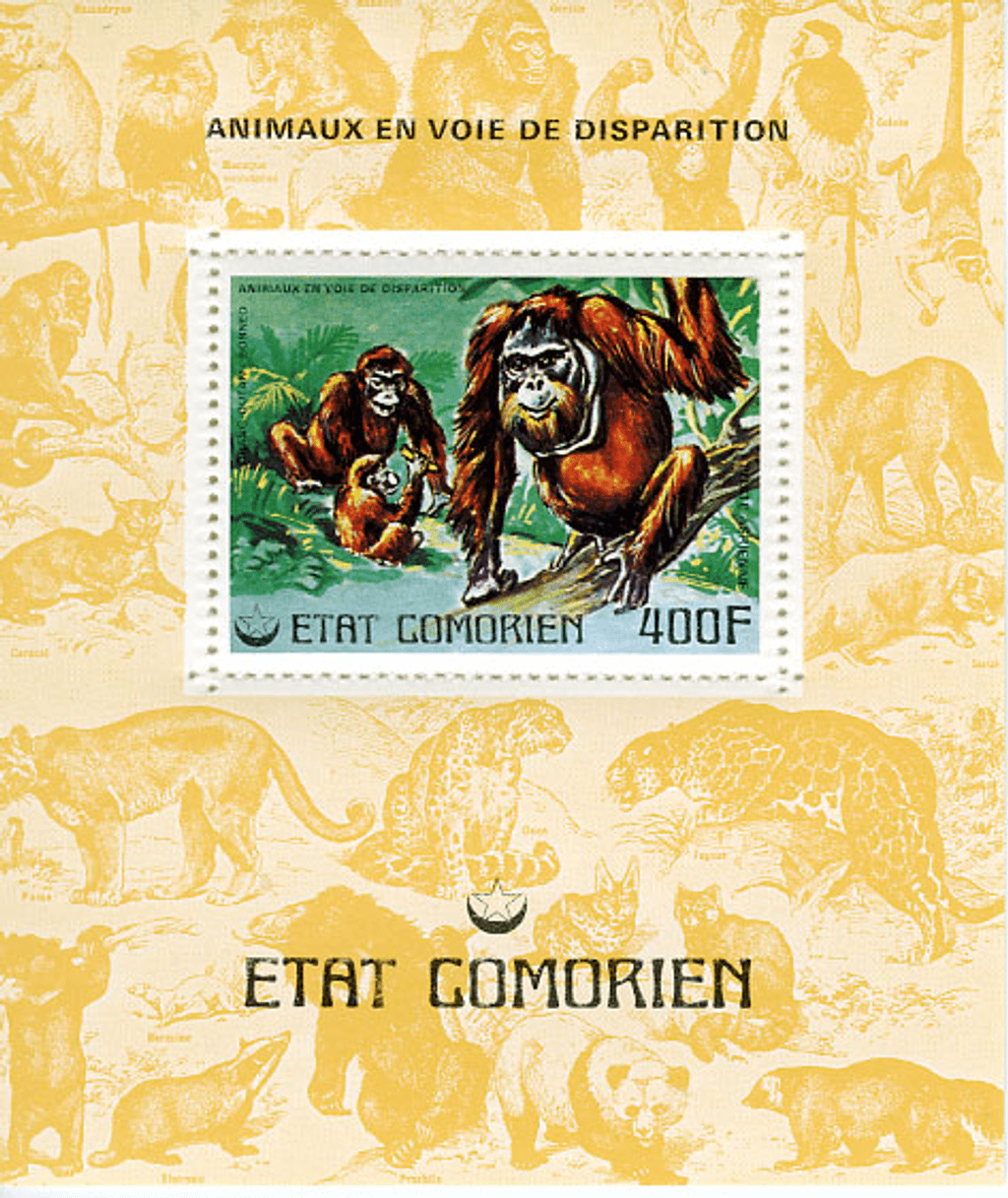 Endangered Animals