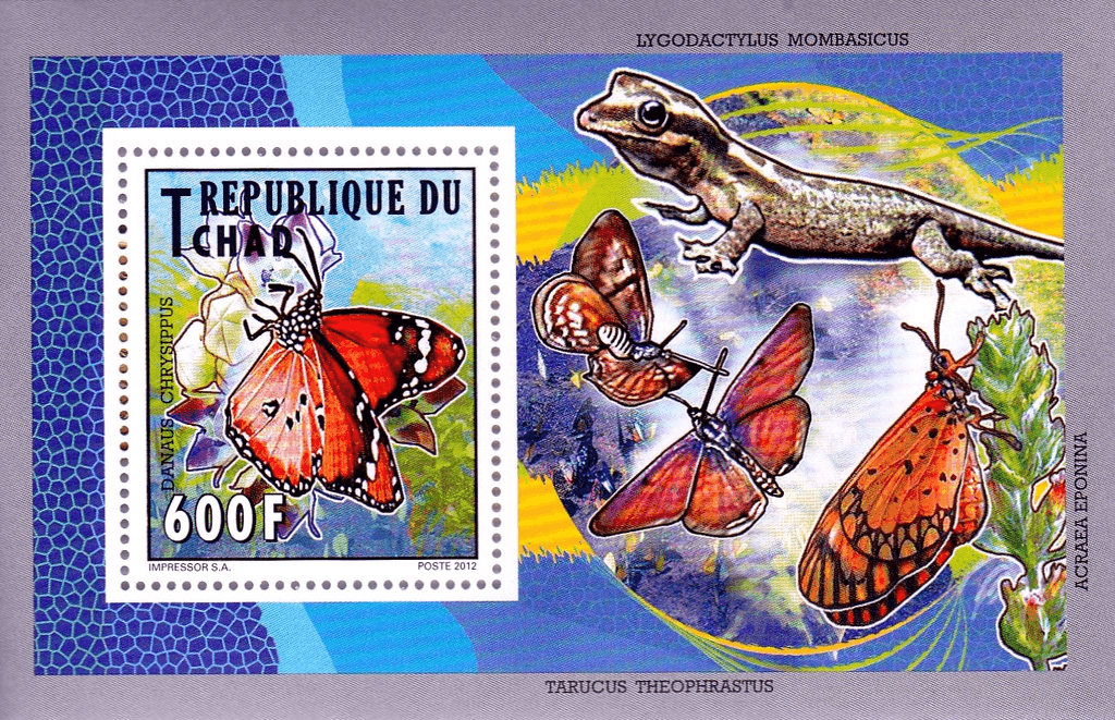 Native Butterflies 2012