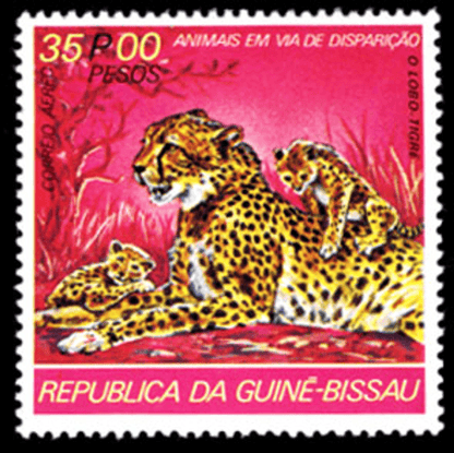 Endangered animals (687)
