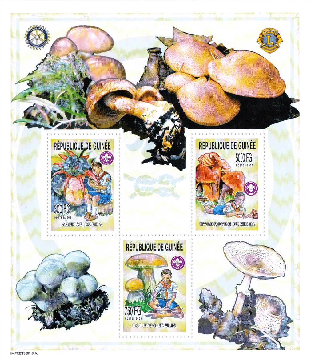 Boy Scout and Mushrooms 2002