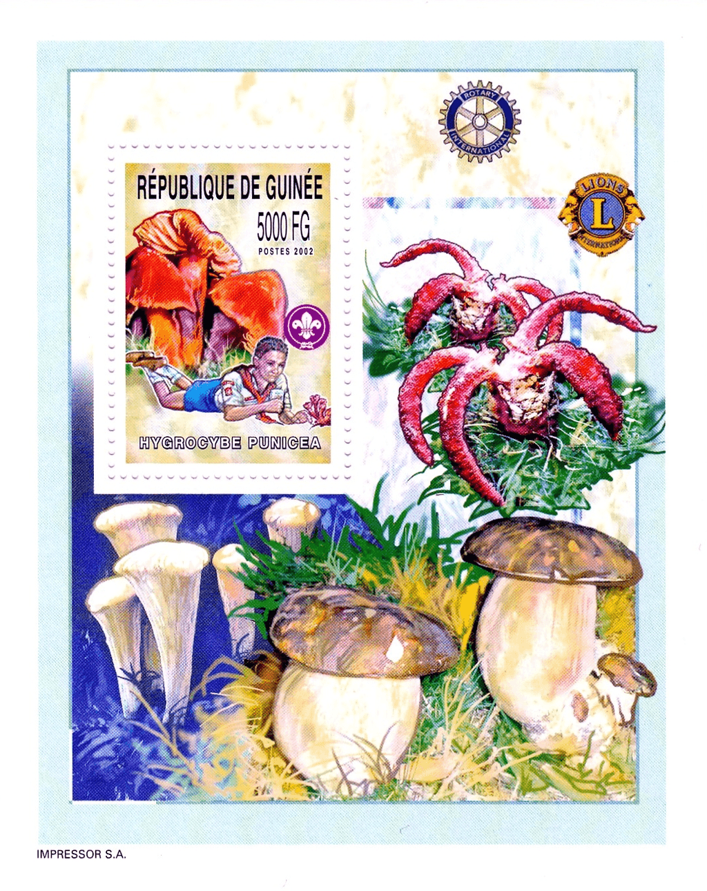 Boy Scout and Mushrooms 2002