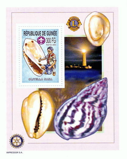 Boy Scout and Sea Snails  2002