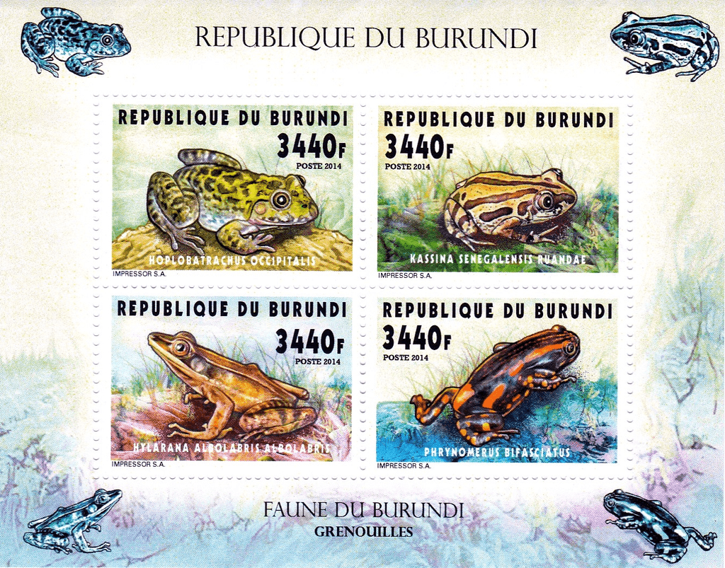 Fauna