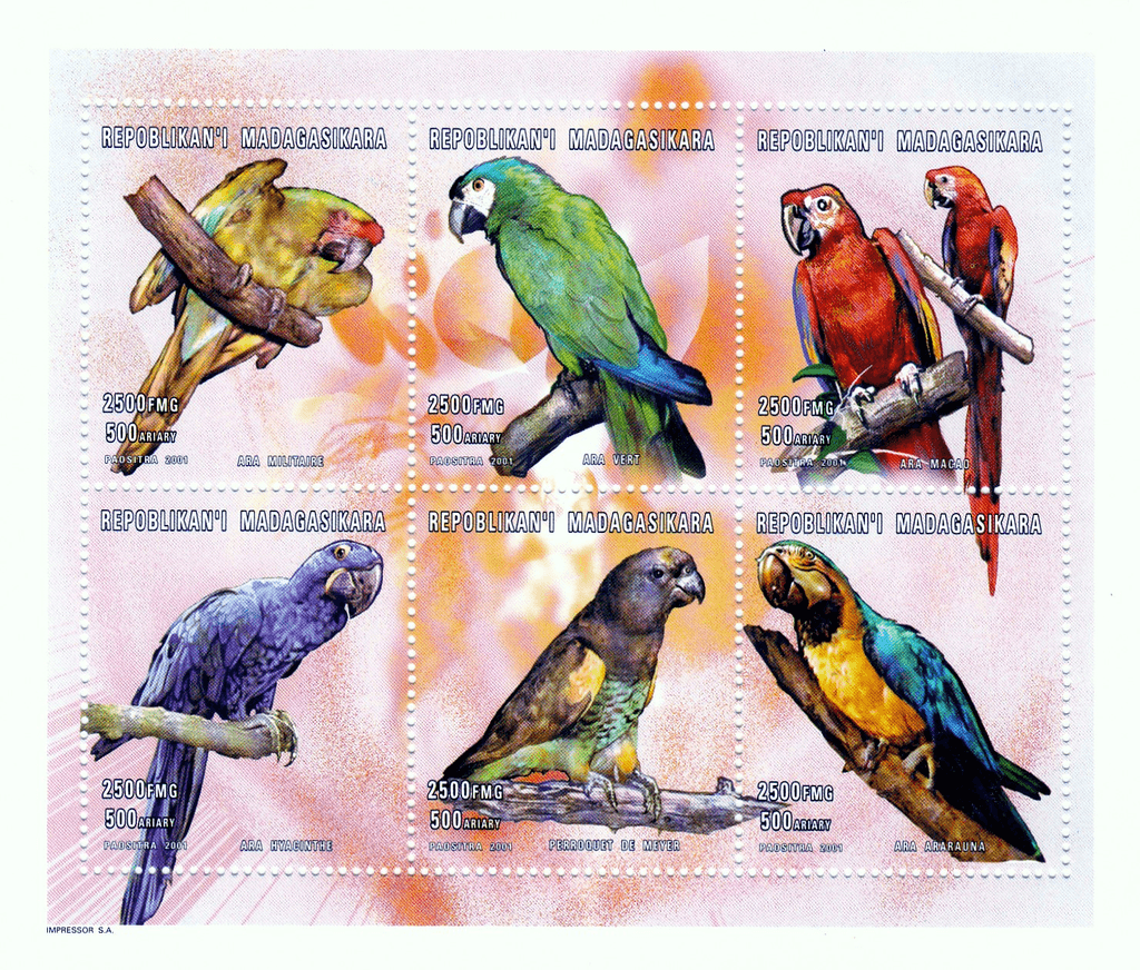 Birds  2001