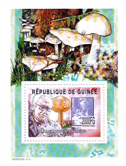 Naturalists (Flemming-Fabre) 2002