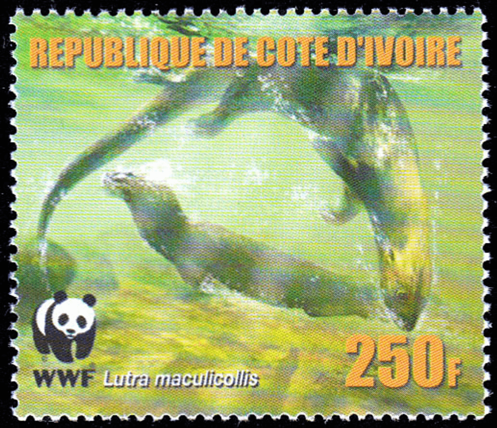 Worldwide Conservation 2005  (Otters)