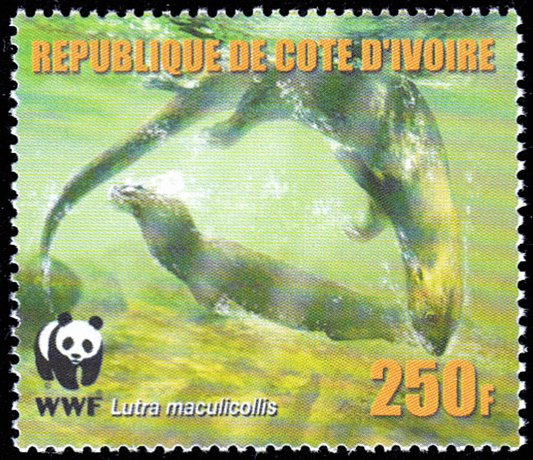Worldwide Conservation 2005  (Otters)