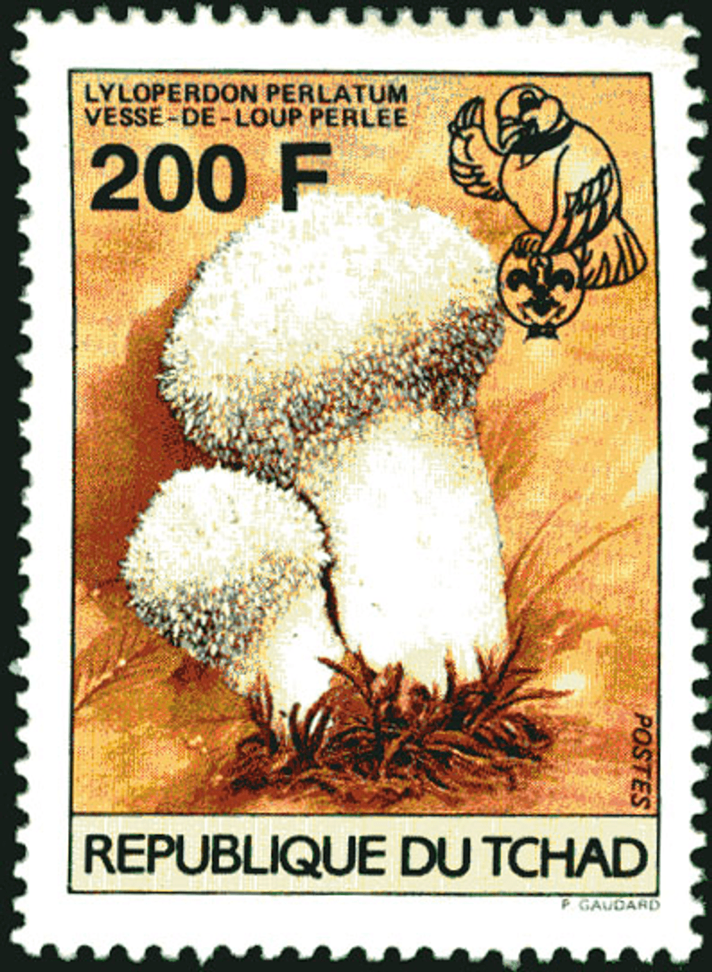 18 th Jamborée Netherland /Mushrooms