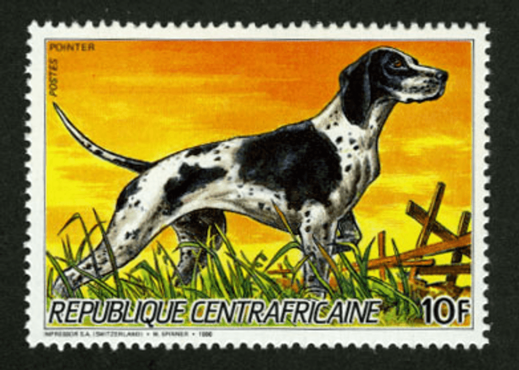 Dogs and Cat Breeds 1986