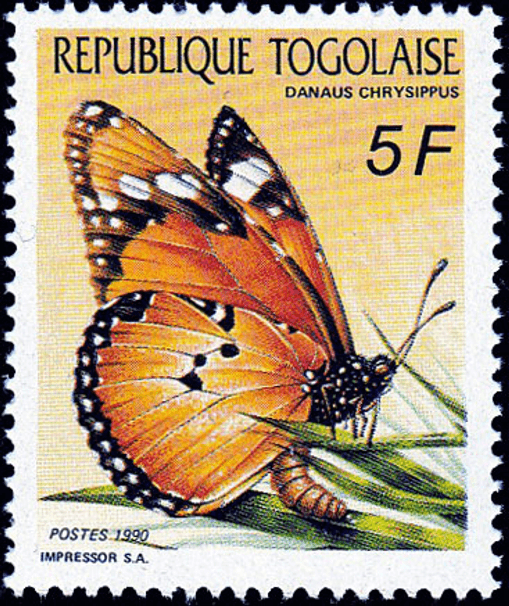 Butterflies  1990