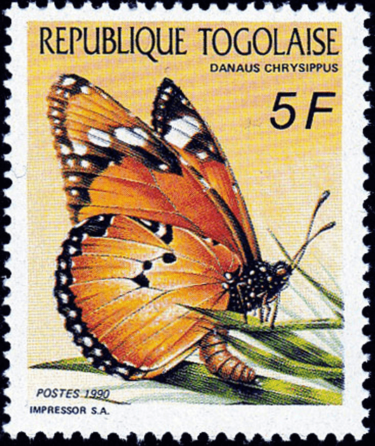 Butterflies  1990