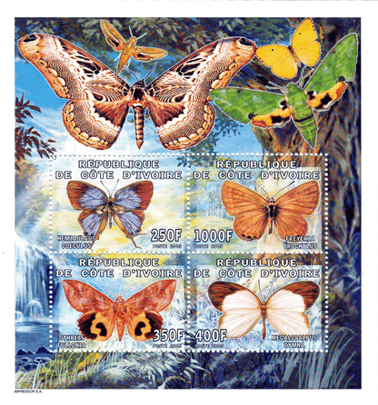 Butterflies  2005