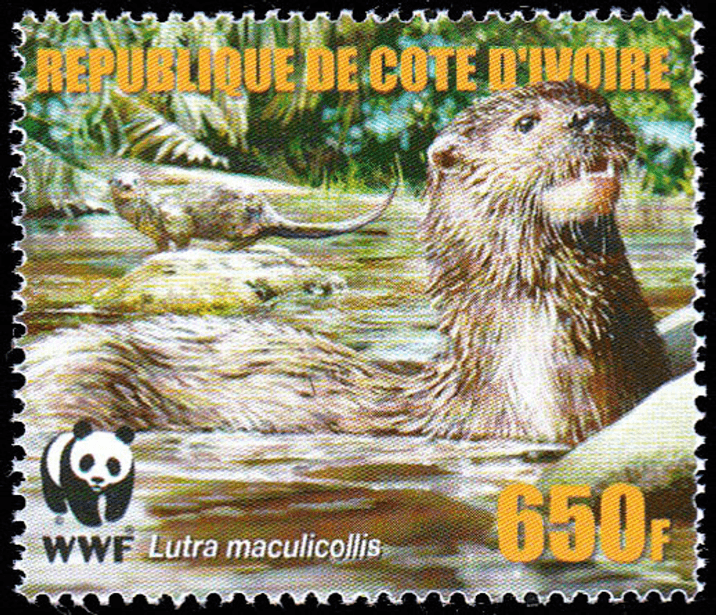 Worldwide Conservation 2005  (Otters)
