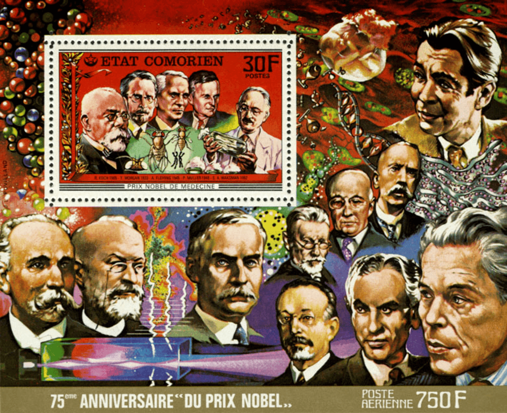 75 years of nobel prize